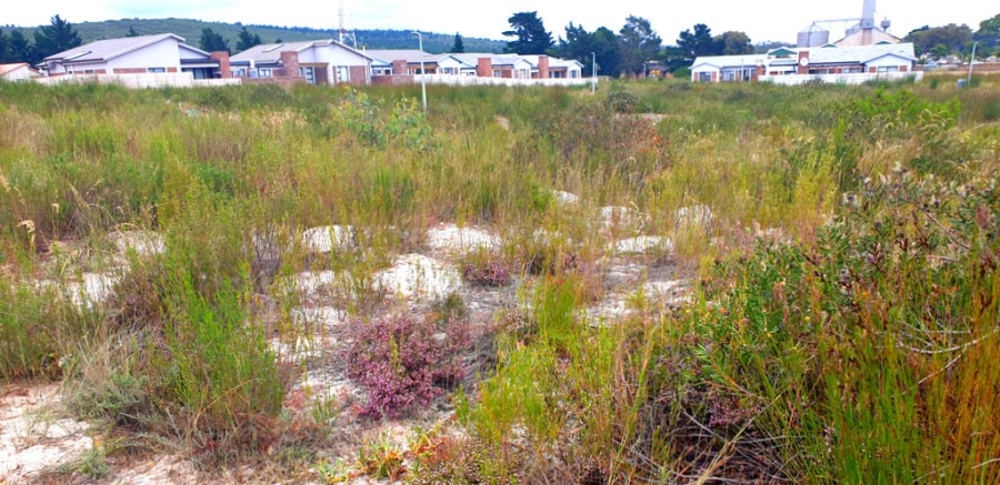  Bedroom Property for Sale in Albertinia Western Cape